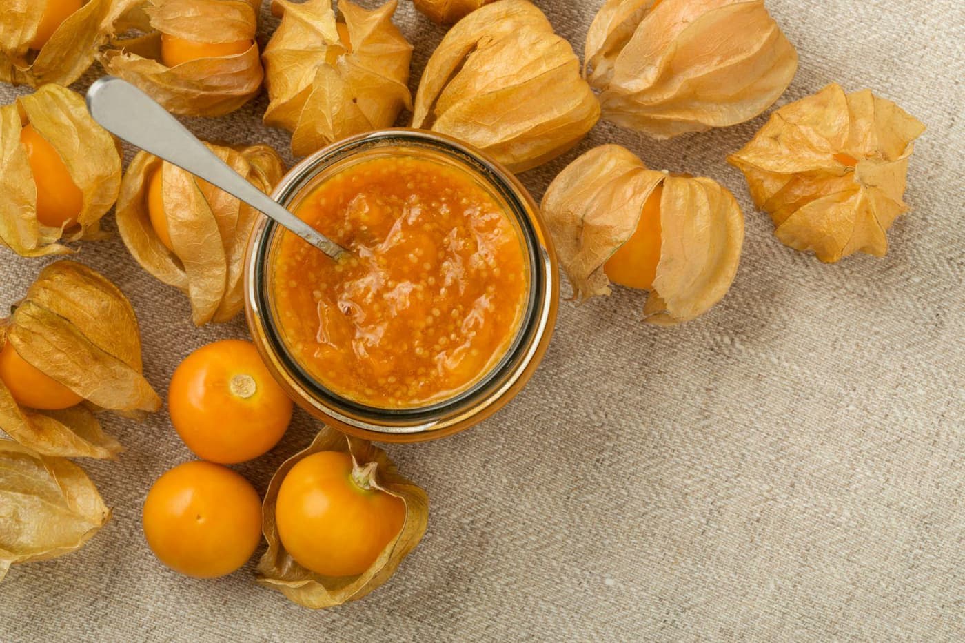 Tr&aacute;i tầm b&oacute;p